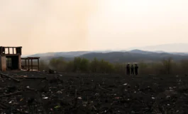 emergenza incendi in grecia impatti devastanti a sud di atene python 1754780751 265x160