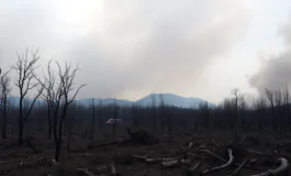 emergenza incendi in spagna oltre 350mila ettari in fiamme python 1755649849 265x160