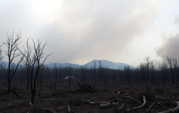 emergenza incendi in spagna oltre 350mila ettari in fiamme python 1755649849 364x230