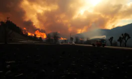 emergenza incendi in toscana dettagli choc python 1755135045 265x160