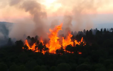 emergenza vesuvio aggiornamenti sulla situazione incendiaria python 1754741739 364x230