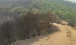 featured 2609851 265x160