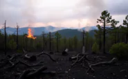 fiamme nel parco nazionale del vesuvio indagini su un possibile atto doloso python 1755266975