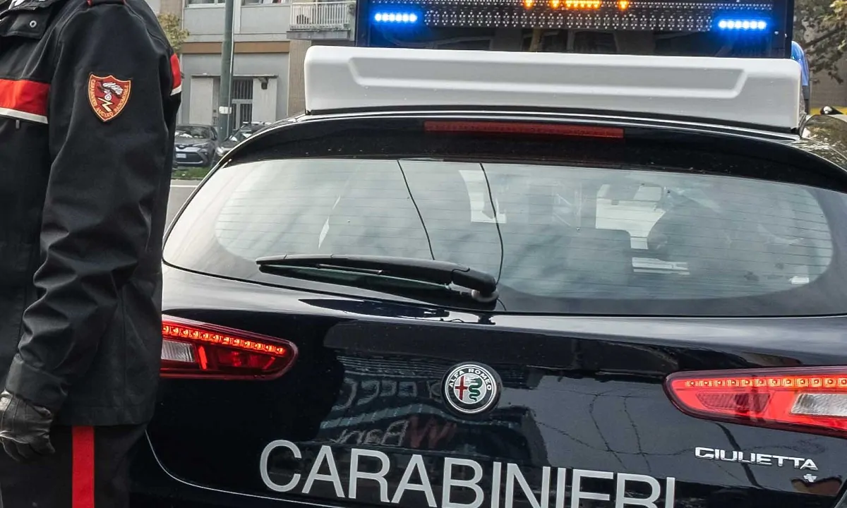 donna investita a milano