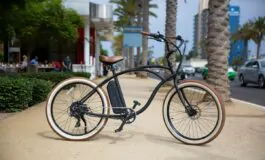 furto bici ladro