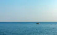 mare fucsia