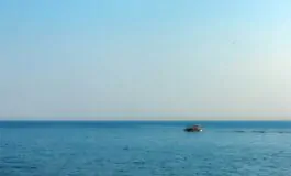 mare fucsia