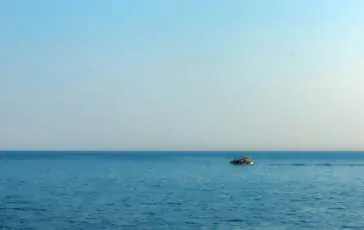 mare fucsia