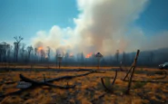 incendi boschivi in california il caso gifford e le sue implicazioni python 1754182108
