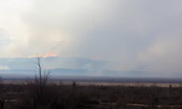 incendi canadesi causano allerta per la qualita dellaria negli stati uniti python 1754180389 265x160