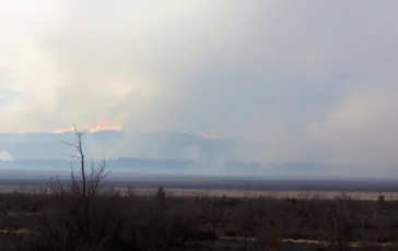 incendi canadesi causano allerta per la qualita dellaria negli stati uniti python 1754180389 364x230