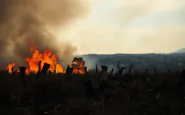 incendi in sicilia cosa non ci dicono python 1755405600