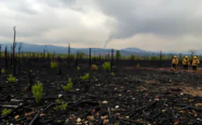 incendi in spagna arresti e responsabilita python 1755729684