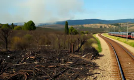 incendi in toscana la verita dietro i blocchi ferroviari python 1755672846 265x160