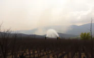 incendi nel sud europa la calura estiva aggrava la situazione python 1755314972
