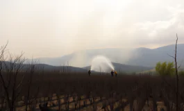 incendi nel sud europa la calura estiva aggrava la situazione python 1755314972 265x160