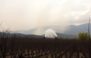 incendi nel sud europa la calura estiva aggrava la situazione python 1755314972 364x230