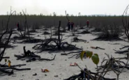 incendio boschivo in francia oltre 160 km2 distrutti e una vittima python 1754707346