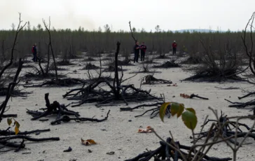 incendio boschivo in francia oltre 160 km2 distrutti e una vittima python 1754707346