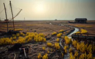 intrusione salina nel delta dellindo un dramma ambientale in atto python 1754391745