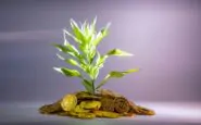 Crisi, incertezze e nuovi trend: come evolvono le scelte finanziarie dei risparmiatori