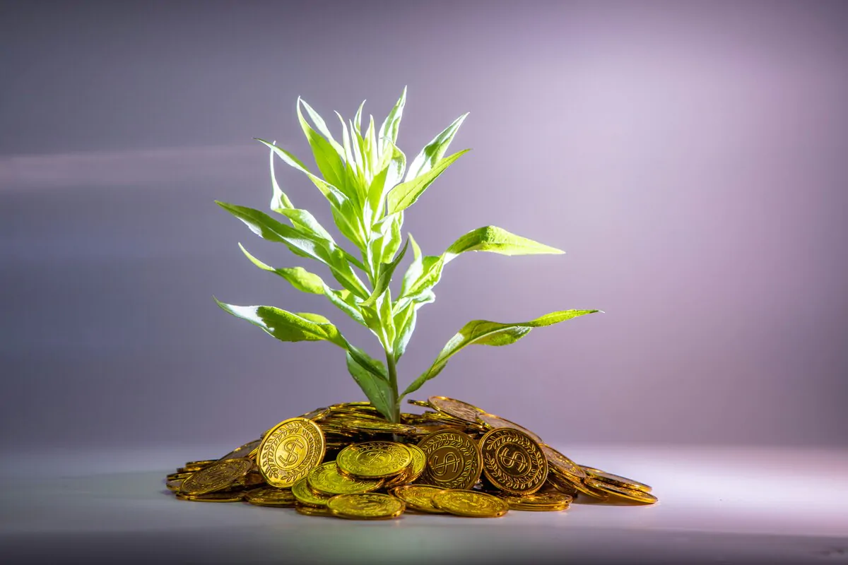 Crisi, incertezze e nuovi trend: come evolvono le scelte finanziarie dei risparmiatori