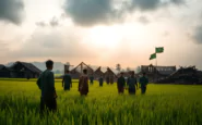 larakan army stravolge il rakhine nuove dinamiche nel conflitto birmano python 1755920516