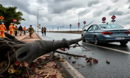 tempesta con venti a 100 kmh provoca danni in romagna python 1756023625 265x160