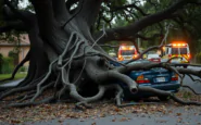 tragedia a ferrandina crollo di un albero provoca un morto e tre feriti python 1755276339