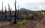 vesuvio incendio spento danni ingenti allecosistema python 1755102448