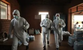 emergenza ebola in congo aggiornamenti sulla situazione attuale python 1757004876 265x160