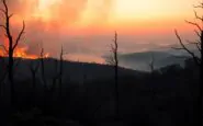 emergenza incendi in portogallo e spagna la crisi del 2025 python 1756974725