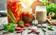 esplorare la fermentazione i sapori antichi che rivitalizzano la tavola moderna python 1758316299