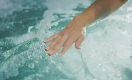 featured 2700865 265x160