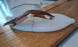 featured 2759183 265x160