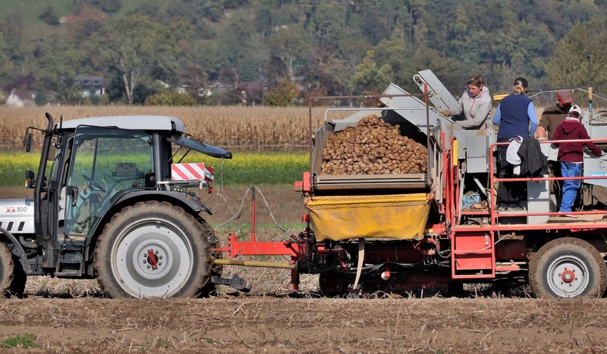 https://www.notizie.it/wp-content/uploads/2025/09/foto-decreto-flussi.jpg