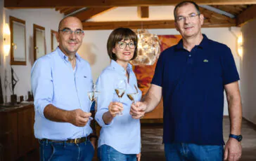 Tra filari e tradizione: un’esperienza di gusto e cultura nel cuore di Conegliano Valdobbiadene