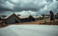 il parlamento chiede una risposta rapida alla crisi umanitaria a gaza python 1758865775