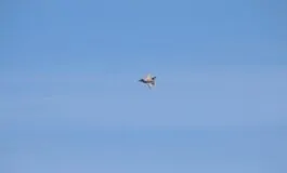 aereo militare israeliano a sigonella