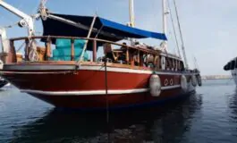flotilla gaza parlamentari