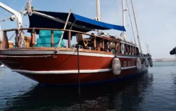flotilla gaza parlamentari