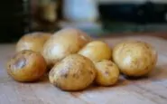 cosa succede se mangio patate germogliate