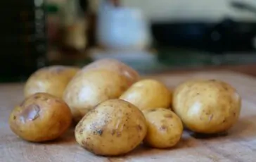 cosa succede se mangio patate germogliate