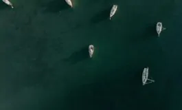 appello mattarella flotilla