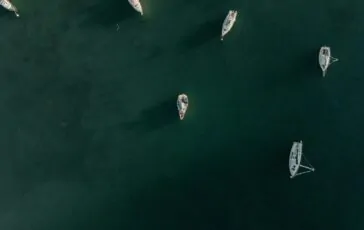 appello mattarella flotilla