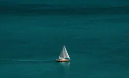 global sumud flotilla giornalista espulsa