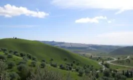 la posizione di trump contro gli sforzi di annessione della cisgiordania da parte di israele python 1758885492 265x160