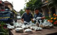 scoperta a bali rete di traffico di droga tra russia e ucraina smantellata python 1758266748