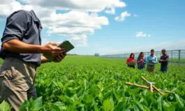 affrontare la fame come i progressi tecnologici possono aiutare a combattere la malnutrizione 1760603442 265x160