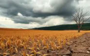 cambiamento climatico cosa non ci dicono davvero 1760206594